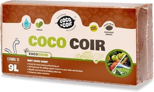 COCO & COI