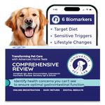 Innovative Pet Lab Comprehensive Review- at-Home-Test Kit for Dog Digestive Health & Allergy Causes- Gut Microbiome Symptoms Evaluation & Expert Panel Insights