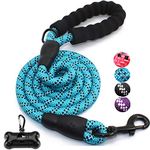 JBYAMUK 5 FT Strong Dog Lead with Comfortable Padded Handle and Highly Reflective Threads for Medium and Large Dogs (5-FT, Blue)