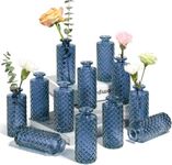 ComSaf Glass Bud Vases Set of 12, S