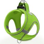 Joytale Small Dog Harness, Breathable Mesh Step-in Vest Harness, Reflective Soft Padded Harnesses for Cats and Puppies Dogs, Green, XXXS