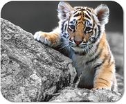 Cute Tiger Cub Customized Rectangle Mousepad, Gaming Mouse Pad Mouse Mat