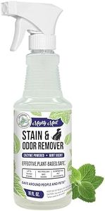 Mighty Mint Stain & Odor Remover, Natural Enzyme Spray Safely Neutralizes Odor and Stains from Dogs, Cats on Carpet, Furniture, Natural Peppermint Scent, 16oz