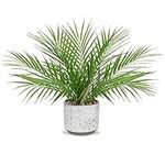 DILATATA Large Artificial Potted Plants Fake Palm Plants 16" Faux Green Plant Plastic Ceramic Tropical Palm Tree in Pots Bohemian for Home Room Office House Indoor Decoration