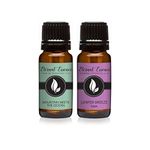 Pair (2) - Mountain Meets The Ocean & Juniper Breeze - Premium Fragrance Oil Pair - 10ml