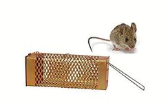 TREND PRODUCTS || Iron Rat Trap/Rodent cage/Mouse Control for Home