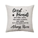 Aconesong Good Friends Gifts Friendship Quotes Throw Pillow Cover Good Friends Like Stars Pillow Case Ideal Cushion Covers Gift for Women, Girl, Friends Birthday