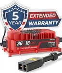 FORM 36 Volt Golf Cart Battery Char