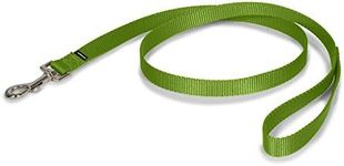 PetSafe Nylon Dog Leash - Strong, Durable, Traditional Style Leash with Easy to Use Bolt Snap - 3/4 in. x 6 ft., Apple Green