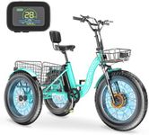 MOONCOOL Fat Tire Electric Tricycle