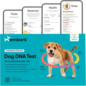 Embark Dog DNA Test Kit – Breed Identification & Health Screening