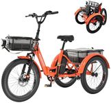 MOONCOOL Folding Electric Tricycle 