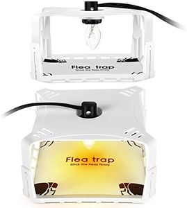 Flea Traps