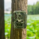 FNX Trail Camera - 4K Video, 32 MP Photo, Night Vision, Motion Detection, 2.4inch LCD, 0.2s Trigger Time, Waterproof for Wildlife Monitoring, Home Security, and Outdoor CCTV Trap Camera