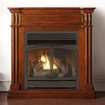 Duluth Forge Dual Fuel Ventless Gas