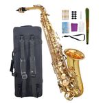 WUQIMUSC Alto Saxophone Beginner Kit for Adults, Student Saxophone Eb, Professional Brass Saxophones Instrument with Sax Case, Mouthpiece, Reeds, Gloves, Cleaning Cloth & Brush (Gold)