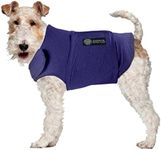 American Kennel Club Anti Anxiety a