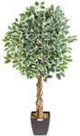 CHRISTOW Artificial Ficus Tree, Fak