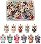 Beadthoven 33pcs 11 Styles Owl Enamel Charms Cute Bird Animal Lucky Dangle Pendants for Jewelry Crafts Making Earrings Bracelets Necklace