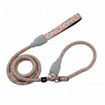 DDSColour Slip Lead Dog Leash - Anti Pull Training Leash for Large Dogs, Small Dogs, and Medium Dogs - 6ft/4ft Lengths, Heavy Duty & Slip Leash with Stoppers, Collar for Training and Easy Control