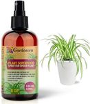 𝐁𝐄𝐒𝐓𝐒𝐄𝐋𝐋𝐄𝐑 Plant Superfood for Spider Plants with B1 Vitamin, Glucose and Essential Minerals - Organic Plant Food Fertilizer for Indoor & Outdoor Spider Plant Care - 8oz