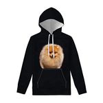 WELLFLYHOM Pullover Hoodie Women Plus Size Cute Pattern Pomeranians Drawstring Sweatshirts for Ladies Adults Girls Long Sleeve Casual Sweater with Pockets Black M