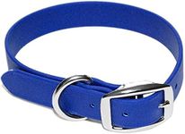 Regal Dog Products Small Blue Dog C