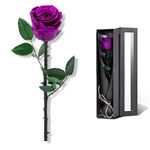 Valentines Day Gifts for Her,Valentines Rose Flowers Birthday Gifts for Women,Valentines Gifts for Wife,Preserved Rose, Preserved Flowers for Delivery Prime, Single Rose Real Rose - Purple Rose