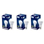 Philips 12W Emergency Bulb | Rechargeable Emergency Bulb for Power Cuts | Backup : 4hrs, Cool Day Light,Pack of 3