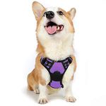 rabbitgoo Dog Harness Medium No Pull Pet Harness with 2 Leash Clips, Adjustable Soft Padded Pet Vest Harness, Reflective No-Choke with Easy Control Handle for Training or Walking, Purple, M