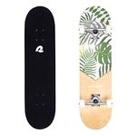 Retrospec Alameda Skateboard Complete | Canadian Maple Wood Deck w/ 5.5 Inch Aluminum Alloy Trucks for Commuting, Cruising, Carving & Downhill Riding | 31” x 7.5”, Malibu Palm