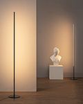 EDISHINE Modern LED Floor Lamp 2 Pack, 57.5" Minimalist Dimmable Standing Lamp,Tall Floor Lamps for Living Room, Bedroom, Office, 3000K Warm White Light, Black