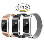 LouisTech Compatabile with Fitbit Charge 3 Band/Fitbit Charge 4 Band, Stainless Steel Replacement Bracelet Strap with Unique Magnet Lock for Fitbit Charge 3 SE/3/4 for Men Women