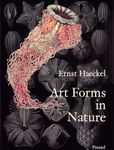 Art Forms in Nature: The Prints of Ernst Haeckel