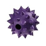 Classic Pet Products Rubber Spike B