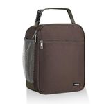 AYEANY Lunch box Lunch bag for men women Lunchbox Lunch bags Insulated Lunch bag Lunch box cooler (Brown)