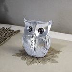 Xtore® Modern Classy Lucky Owl Resin Art Figure Showpiece (Silver), 1 Piece