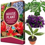 House Plant Compost Ideal For Indoor & Outdoor House Plants With Added Nutrients For Healthy Leaves & Plants (10 Litres)