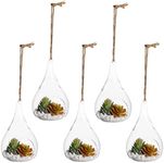 Juvale 5-Pack Hanging Glass Terrarium Containers - Air Plant Holder, Succulent Planter, Tea Light Candle Hangers (3.5x5 in)