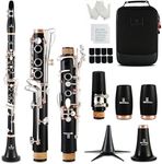 ROWELL Clarinet Professional 17 keys B Flat Clarinet Two-color Silver-plated Keys Clarinet for Beginner Student Performance Test with Professional Clarinet Case