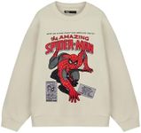 Marvel Mens Oatmeal Hoodie | The Amazing Spiderman Spiderman Sweatshirt | Official Comics Graphic Hoody | Peter Parker Superhero Apparel