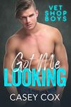 Got Me Looking (Vet Shop Boys Book 3)