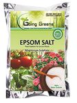 Going Greens Epsom Salt Powder For Plants Growth And Plants Nutrient - Magnesium Sulphate (250 Gms)