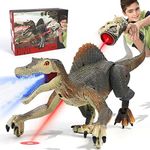 FRUSE Remote Control Dinosaur Toys,