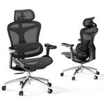 SIHOO Doro C300 Ergonomic Office Chair with Ultra Soft 3D Armrests, Dynamic Lumbar Support for Home Office, Adjustable Backrest Desk Chair (Black)