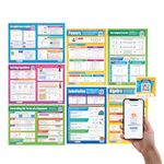 Daydream Education Algebra Posters - Set of 7 Maths Charts | Gloss Paper | 594 mm x 850 mm (A1) | FREE Interactive Quizzes | Mathematics Classroom Charts