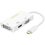 3 in 1 USB C to VGA HDMI DVI Adapte