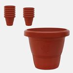 YUCCABE ITALIA SHERA SD 10 INCH Pack of 12 Pcs Plastic Flower Pot Unbreakable Round Shape Planter Plastic Gamle for Garden Seedling Indoor and Outdoor (Terracotta)