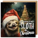 NotNiceThings Sloth Christmas Card Ever, Funny Cards for Him, for Her, Pun Christmas Cards, Animal, Fun Christmas Cards, Friend, Boyfriend