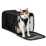 Conlun Cat Carrier Bag,Soft-Sided Pet Carriers for Dogs with 4-Sided Mesh,Airline Approved Cat Transport Carrier for Small&Medium Cats Kitten Puppy Up to 6Kg,Collapsible Cat Travel Carrier-M,Black